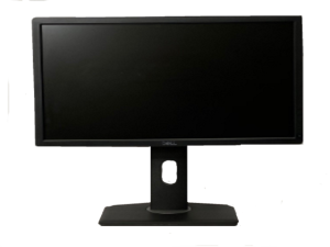 Dell 22" Monitor